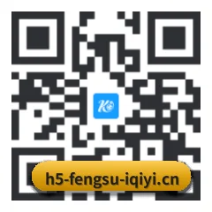 系统版 iOS 二维码